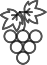 caprai-icons-vigna